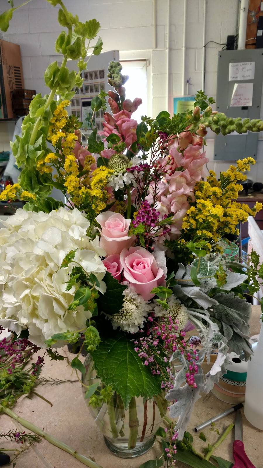 Dayspring Flowers & Gifts | 5414 Ten-Ten Rd, Apex, NC 27539, USA | Phone: (919) 772-2425