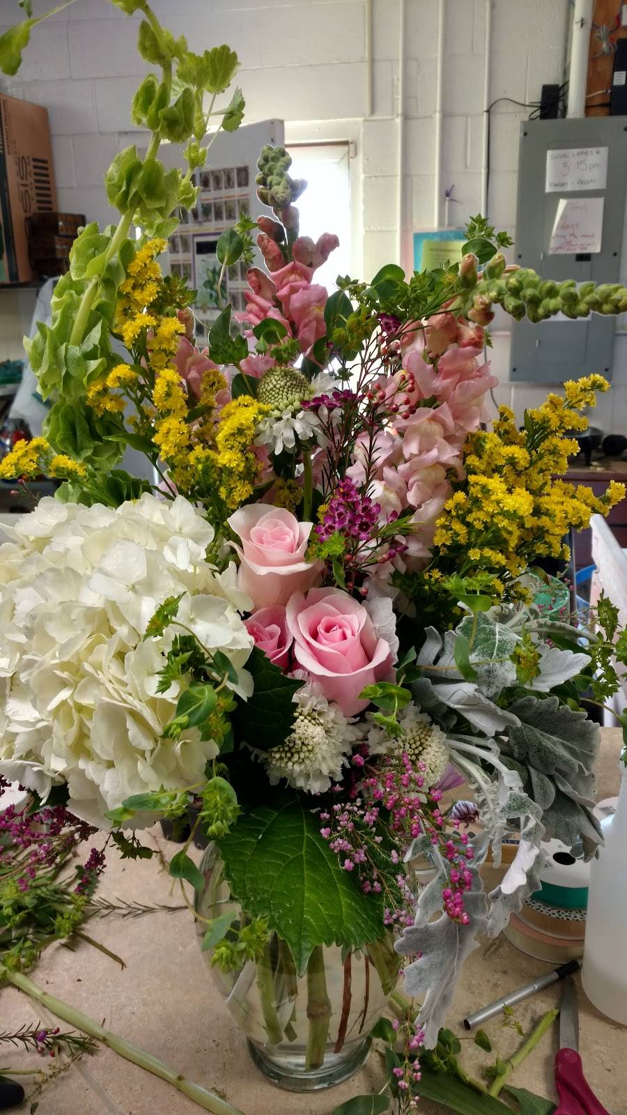 Dayspring Flowers & Gifts | 5414 Ten-Ten Rd, Apex, NC 27539 | Phone: (919) 772-2425