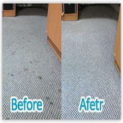 Rosenberg TX Carpet Cleaning | 23912 Commercial Dr, Rosenberg, TX 77471, USA | Phone: (281) 783-9919