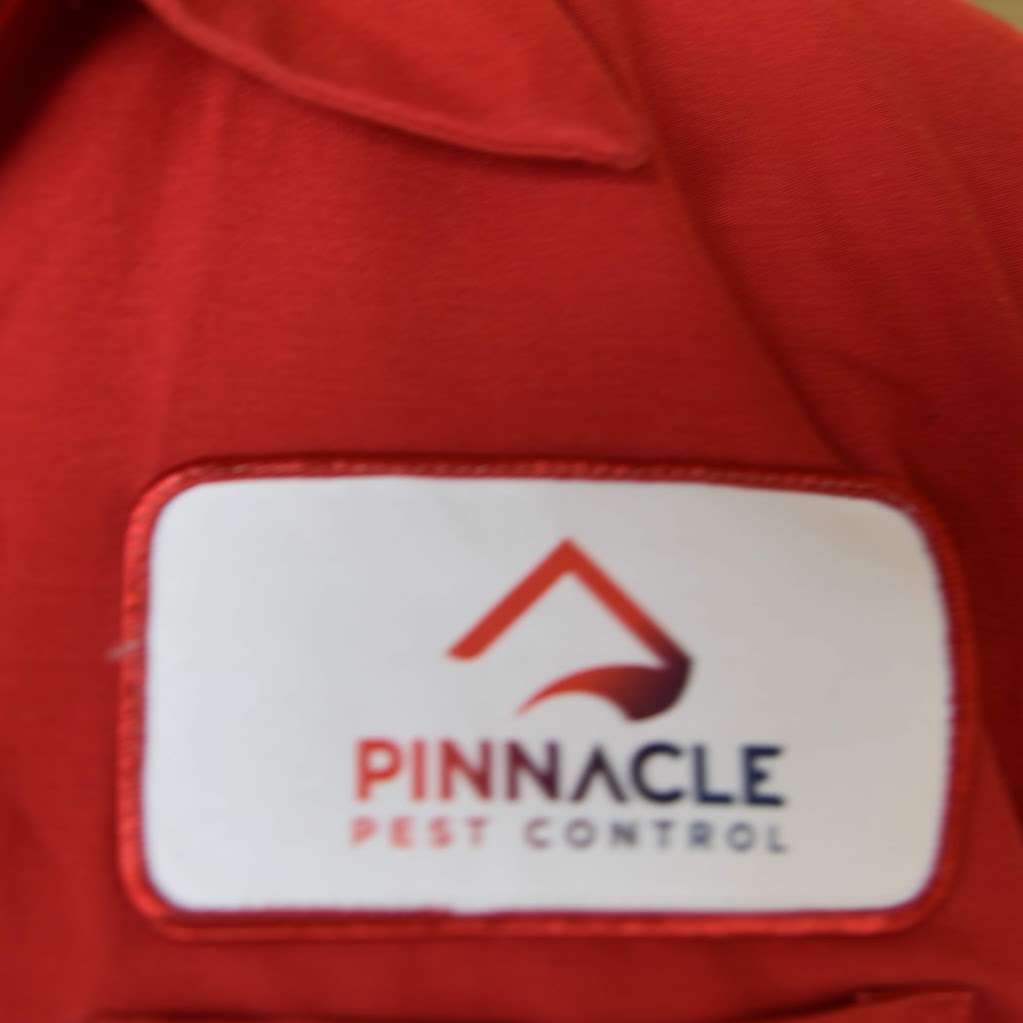Pinnacle Pest Control of Concord | 1320 Willow Pass Rd Ste #600, Concord, CA 94520, USA | Phone: (925) 574-1706