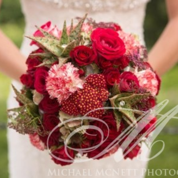 The Red Poppy Floral Studio | 295 Royal Manor Rd, Easton, PA 18042, USA | Phone: (610) 597-3522