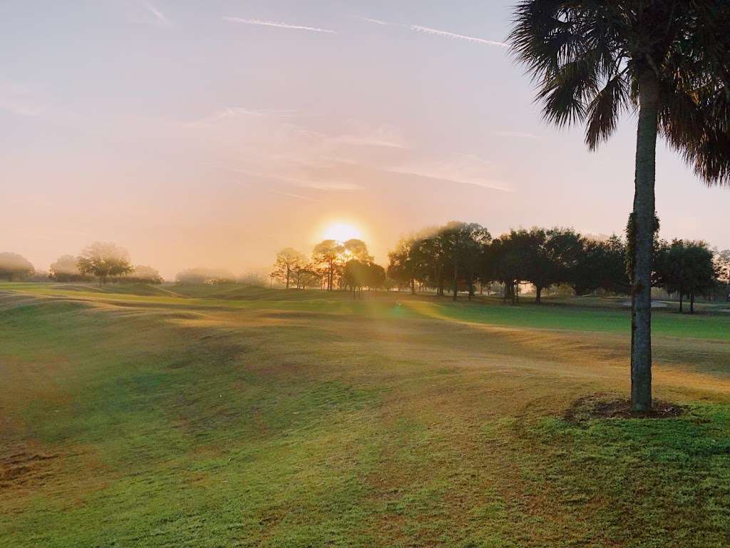 The Links at Spruce Creek South | 18050 SE 102nd Terrace, Summerfield, FL 34491, USA | Phone: (352) 307-2362