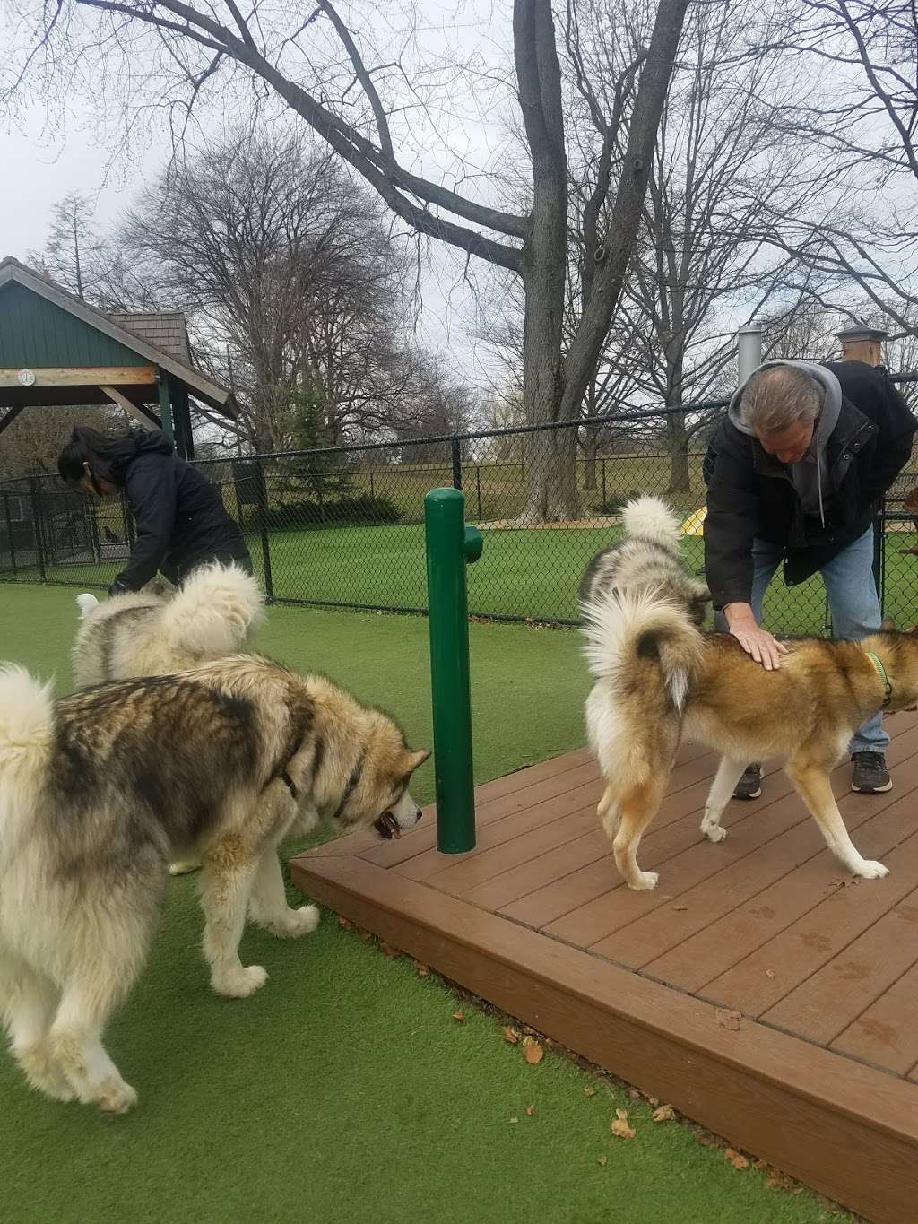 Buchanan Dog Park | 901 Buchanan Ave, Lancaster, PA 17603, USA | Phone: (717) 291-4841