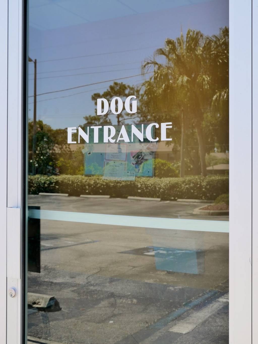 Van Dyke Animal Clinic - Veterinarian | 6066 Van Dyke Rd, Lutz, FL 33558, USA | Phone: (813) 269-8322