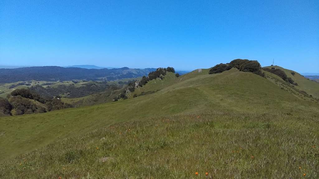 Las Trampas Ridge Trail | Las Trampas Ridge Trail, Moraga, CA 94556, USA | Phone: (888) 327-2757