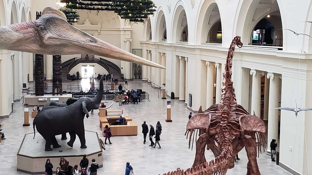 The Field Museum | 1400 S Lake Shore Dr, Chicago, IL 60605, USA | Phone: (312) 922-9410