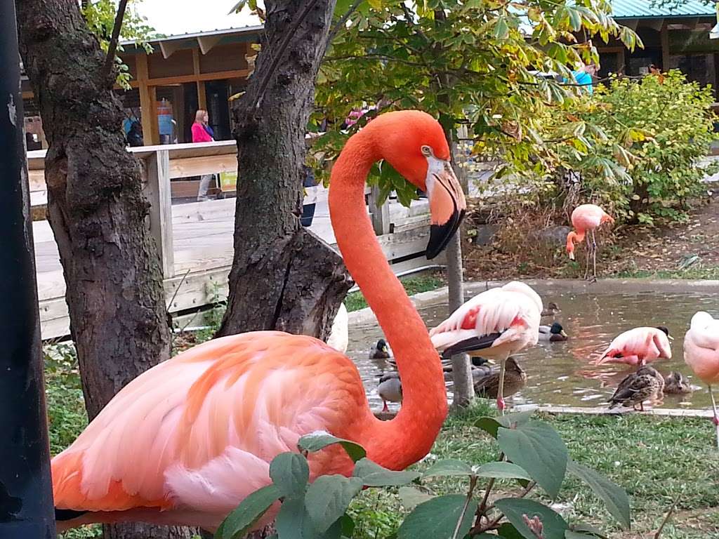 Indianapolis Zoo | 1200 W Washington St, Indianapolis, IN 46222, USA | Phone: (317) 630-2001