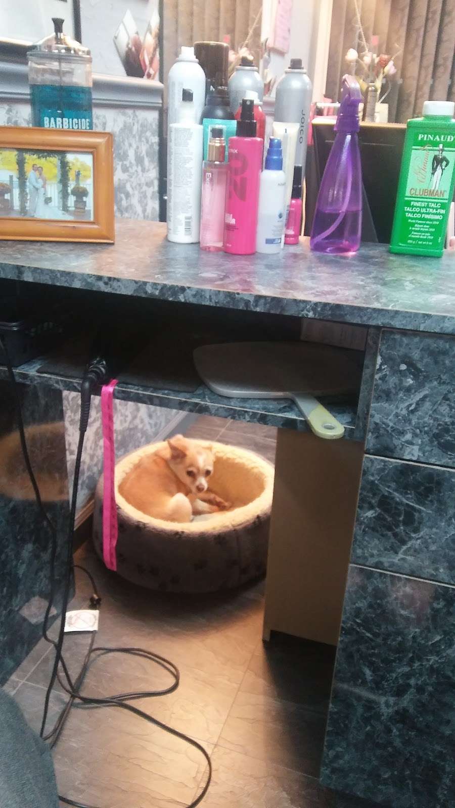 Kim Baker Hair Studio, 9365, 2675 Carlisle St, New Oxford
