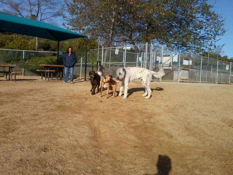 San Clemente Dog Park | 301 Av. La Pata, San Clemente, CA 92673 | Phone: (949) 361-8264