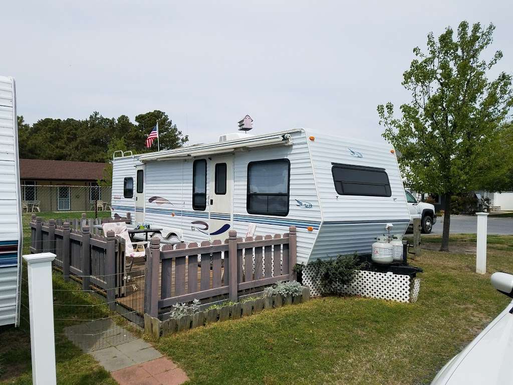 Pine Tree Campground | 38452 Resort RV Cir # 1, Ocean View, DE 19970, USA | Phone: (302) 539-7006