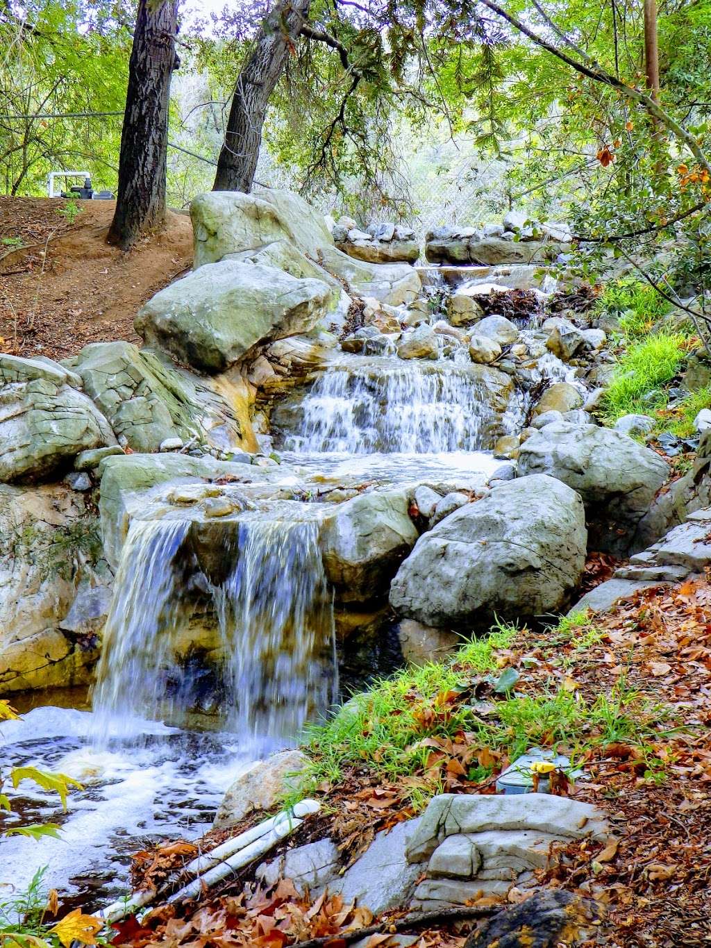 Descanso Gardens | 1418 Descanso Dr, La Cañada Flintridge, CA 91011, USA | Phone: (818) 949-4200