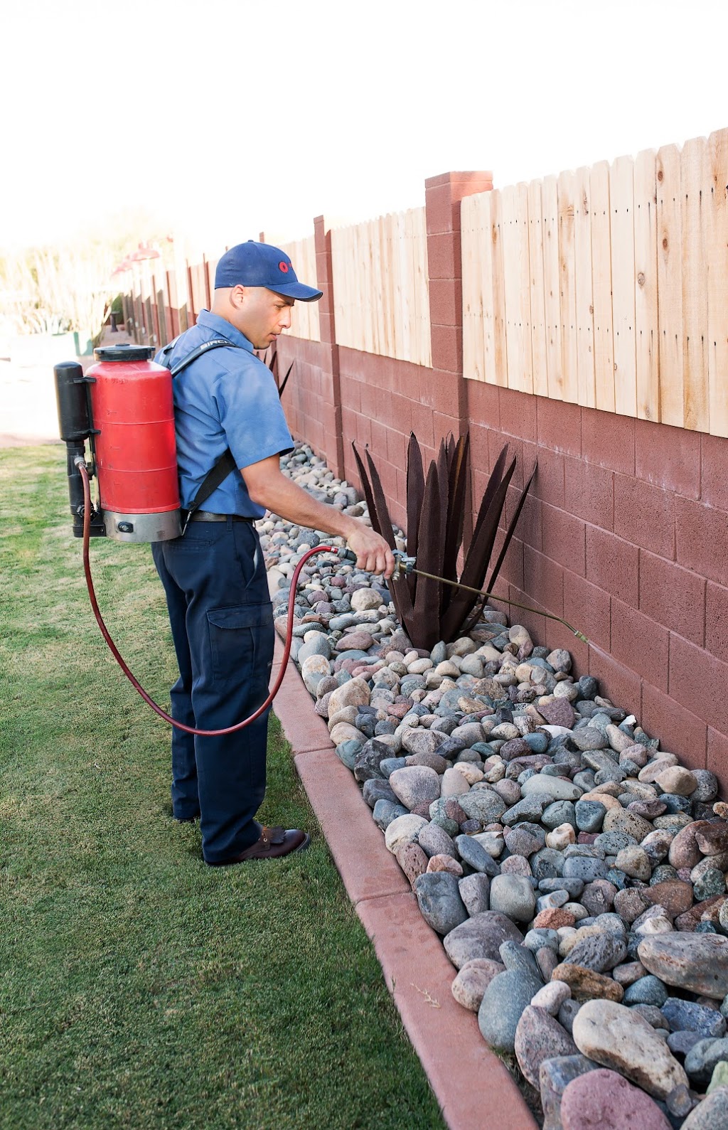 Defense Pest Control | 7319 S Atwood STE 105, Mesa, AZ 85212 | Phone: (480) 354-3500