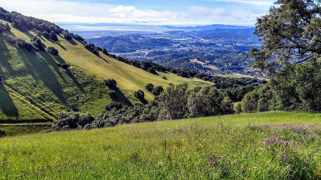 Mount Burdell Preserve | Novato, CA 94945, USA | Phone: (415) 473-4381