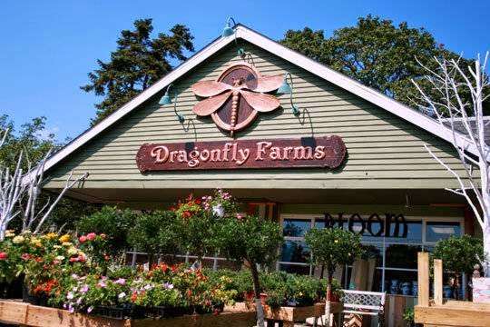 Dragonfly Farms | 966 Kuser Rd, Trenton, NJ 08619, USA | Phone: (609) 588-0013