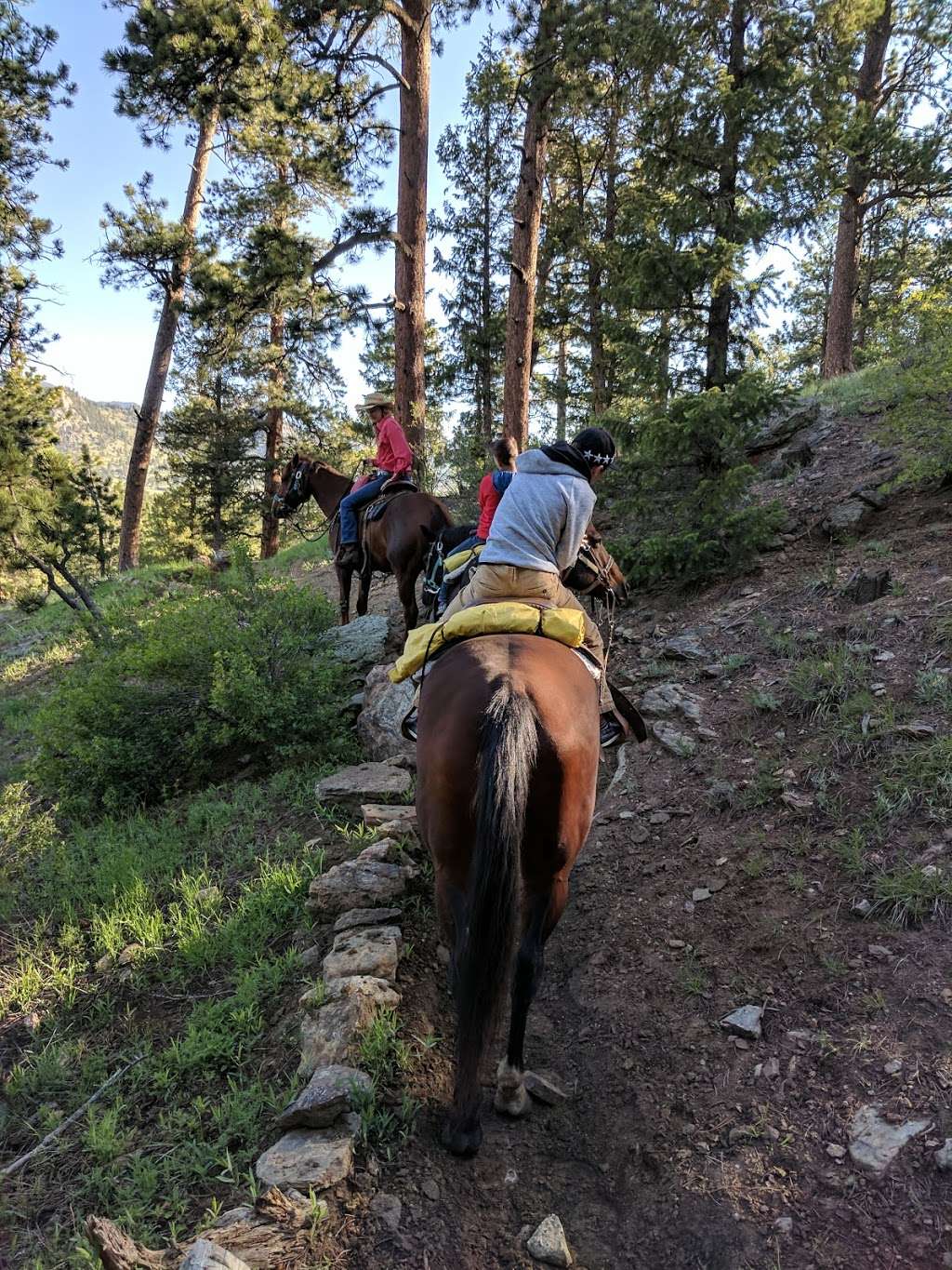 Cowpoke Corner Corral | 2166 CO-66, Estes Park, CO 80517, USA | Phone: (970) 586-5890