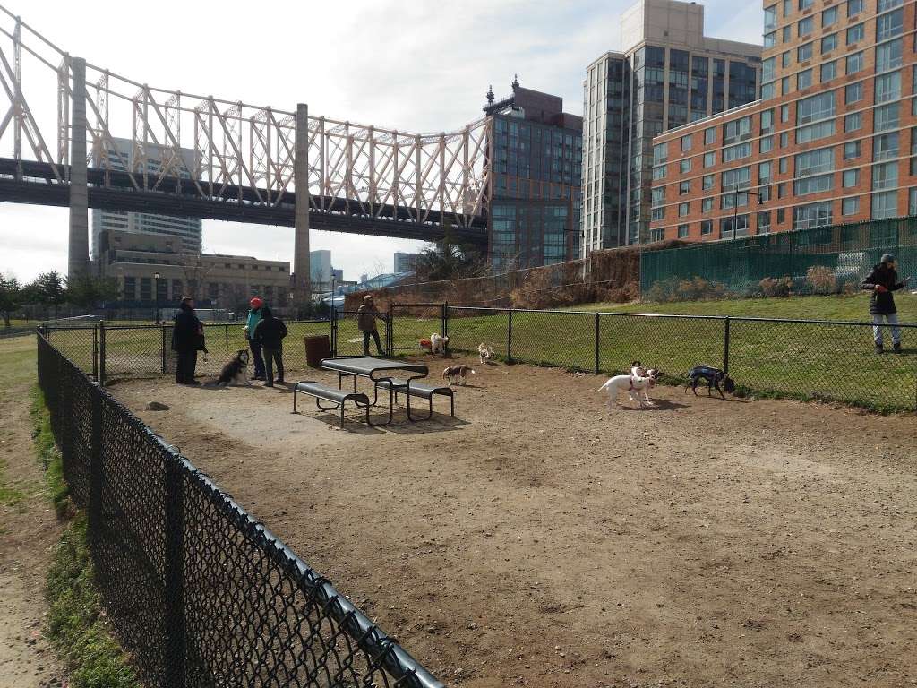 Southtown Dog Run | New York, NY 10044, USA