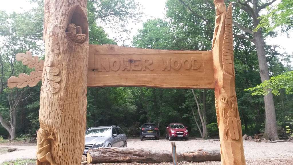 Nower Wood Educational Nature Reserve - Visitors by appointment  | Mill Way, Leatherhead KT22 8QA, UK | Phone: 01372 379509