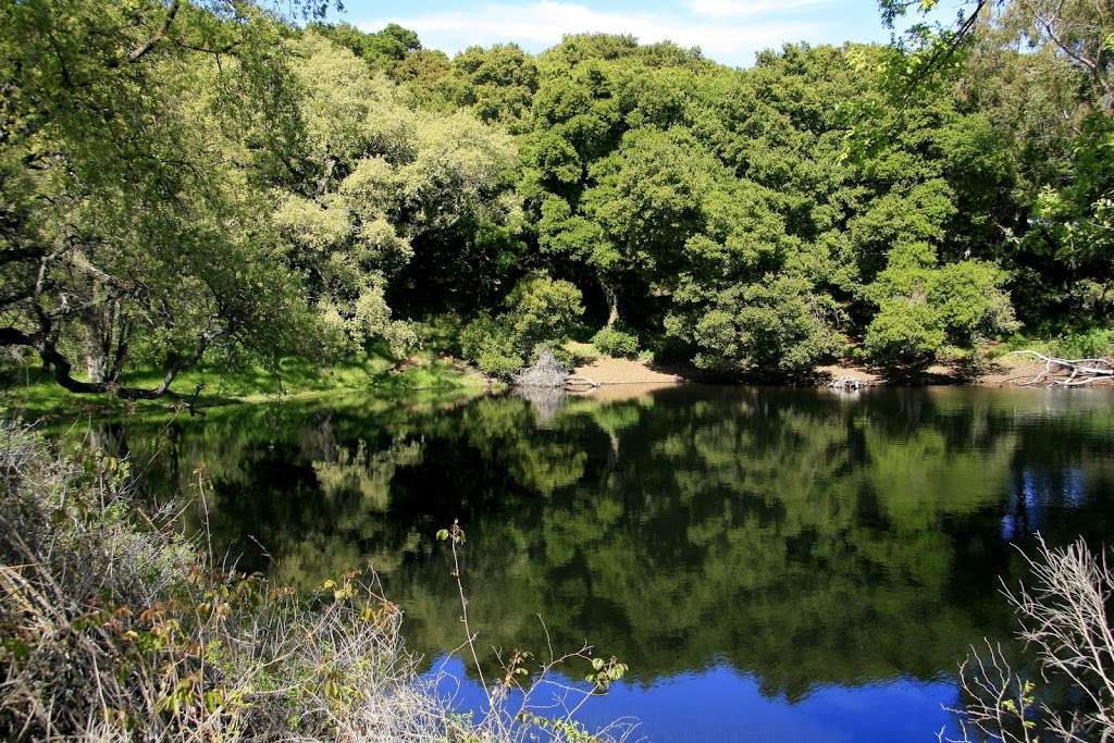 Picchetti Ranch Open Space Preserve | 13100 Montebello Rd, Cupertino, CA 95014 | Phone: (650) 691-1200