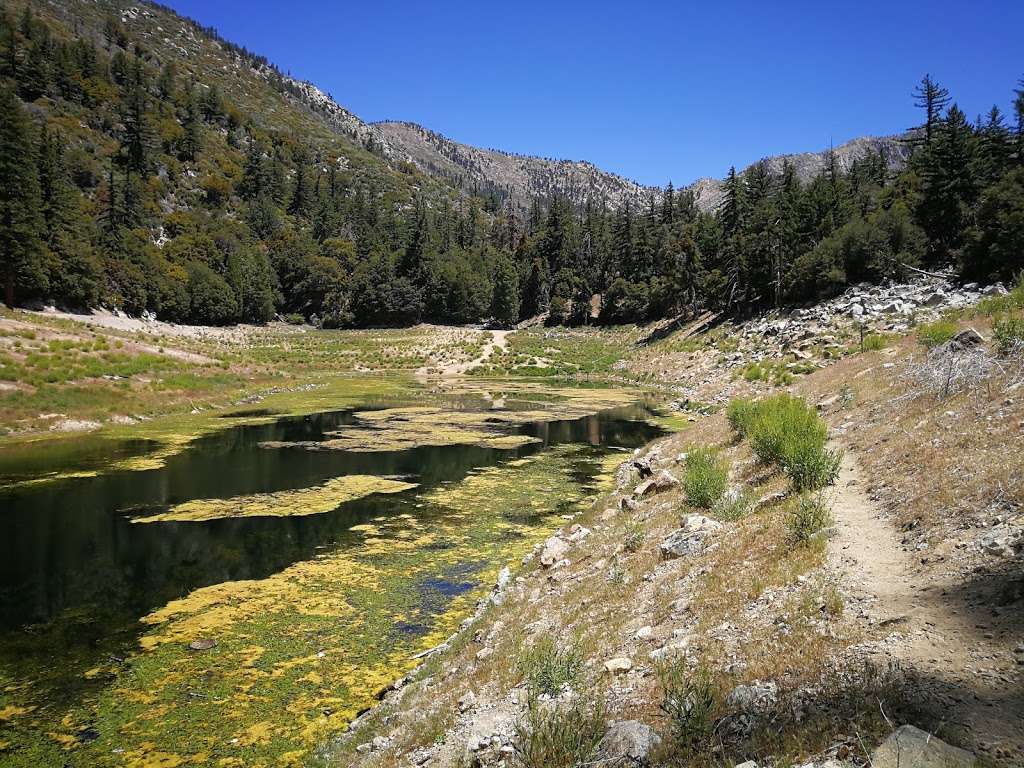 Frank G. Bonelli Regional Park | 120 E Vía Verde, San Dimas, CA 91773, USA | Phone: (909) 599-8411