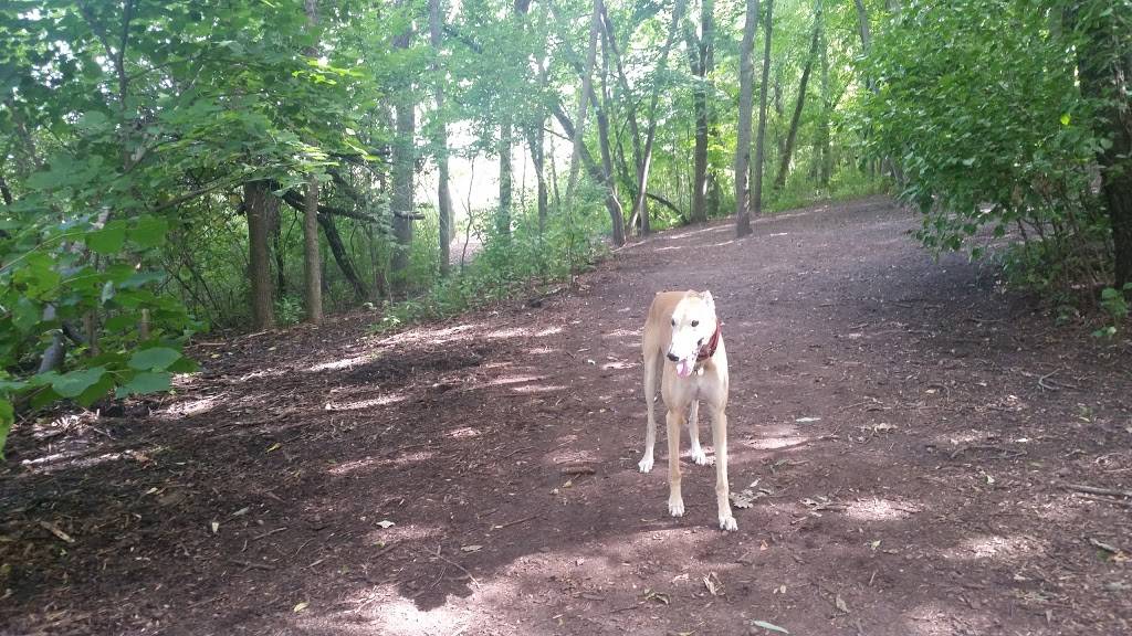 Otter Lake Off-leash Dog Area | 5750 Otter Lake Rd, White Bear Township, MN 55110 | Phone: (651) 748-2500