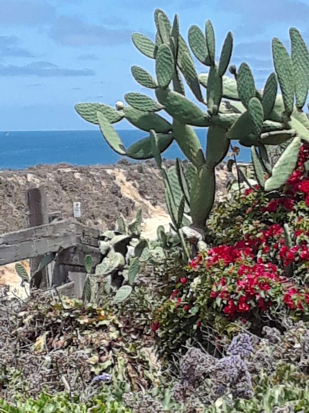 Del Mar Shores Park | Del Mar, CA 92014, USA