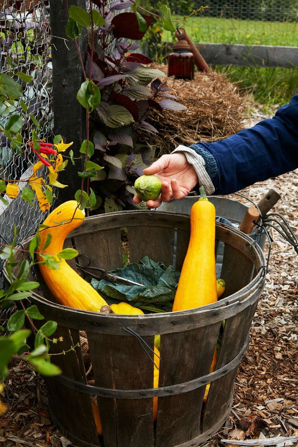 Tusten Heritage Community Garden | De Mauro Ln, Narrowsburg, NY 12764, USA | Phone: (845) 252-3722