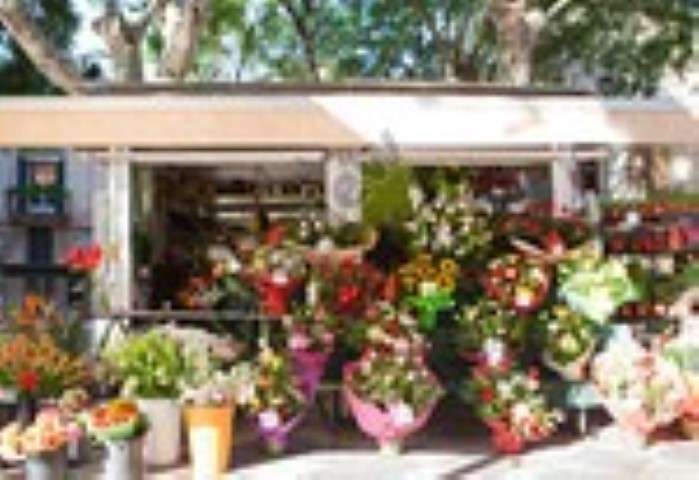 Chester Hometown Florist | 135 Main St, Chester, NY 10918 | Phone: (845) 469-7751