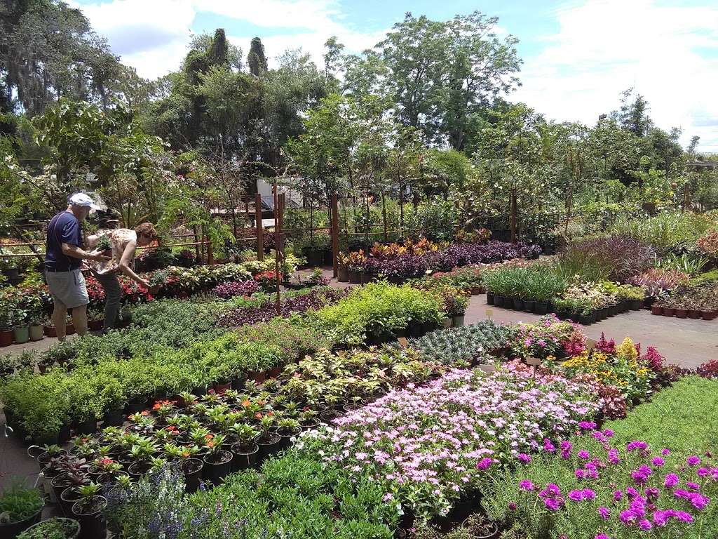 Longwood Gardens Nursery And Landscaping | 1900 S US Hwy 17 92, Longwood, FL 32750, USA | Phone: (407) 260-5007