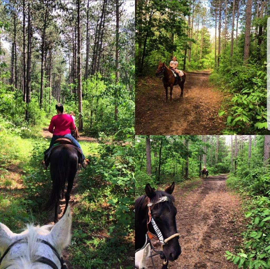 Dream A Horse - Horseback Riding Trails | Eagle Trail Head - County Road S, Eagle, WI 53119, USA | Phone: (608) 403-1972