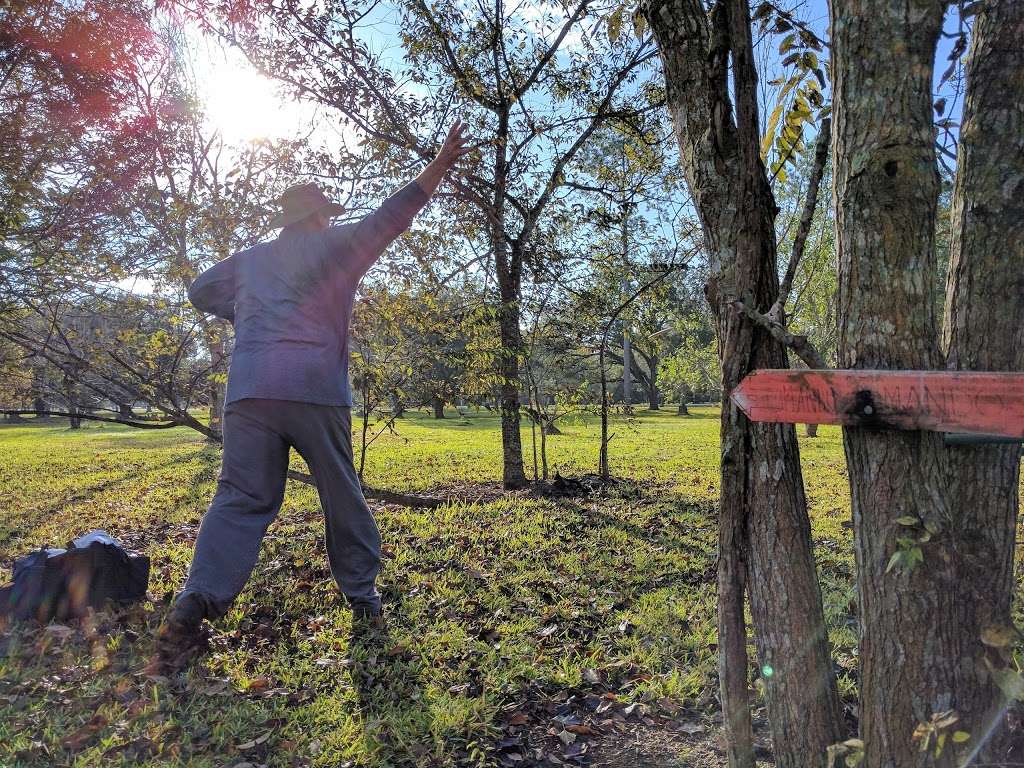 Centennial Park Disc Golf Course | 3210 McLean Rd, Pearland, TX 77584