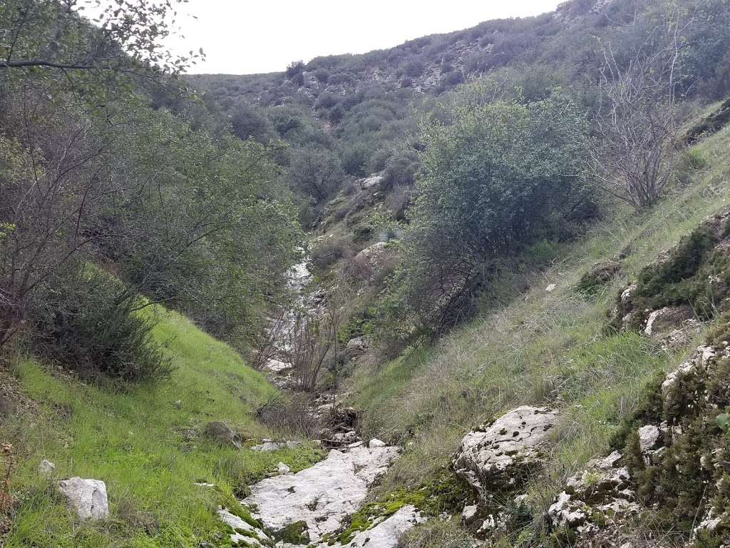 Bichota Canyon Trail | Bichota Canyon Trail, Azusa, CA 91702, USA