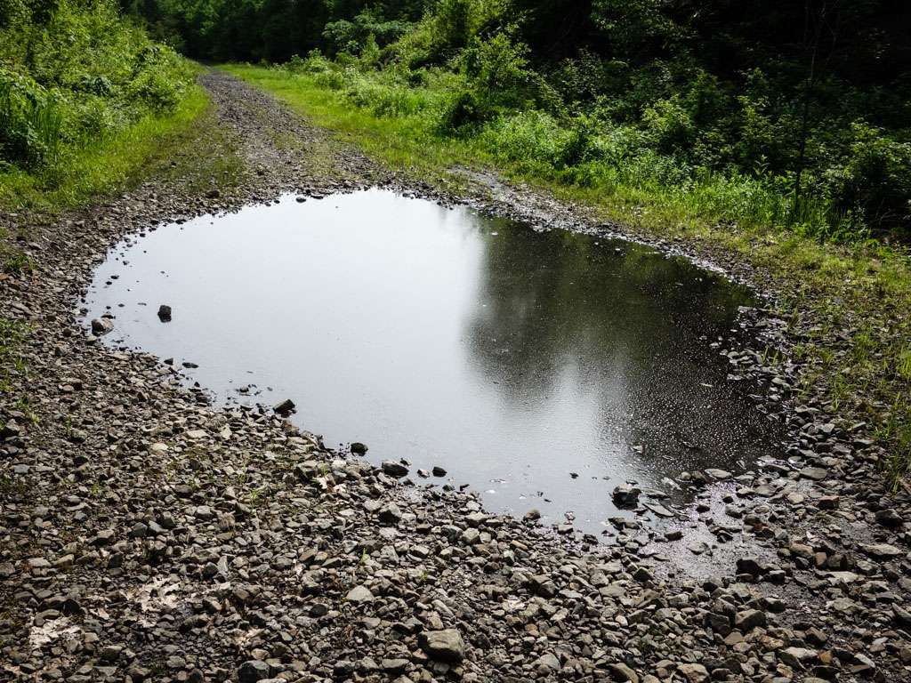 Shawangunk Ridge Trail - Otisville to Guymard Tpk | Unnamed Road, Otisville, NY 10963, USA