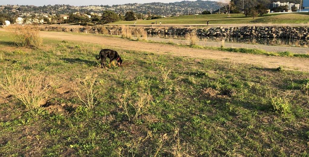 Point Isabel Dog Park | Richmond, CA 94804, USA