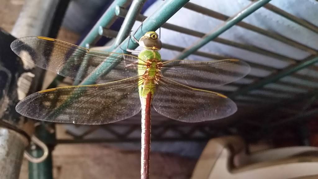 Ford Hotel Supply Co | 2204 N Broadway, St. Louis, MO 63102, USA | Phone: (314) 231-8400