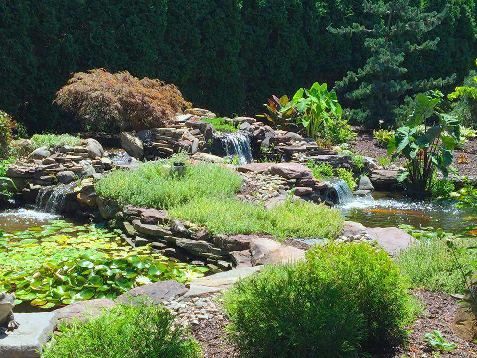 Albanese Garden Center Landscape and Aquatic Design | 260 E Moorestown Rd, Wind Gap, PA 18091, USA | Phone: (610) 759-4699