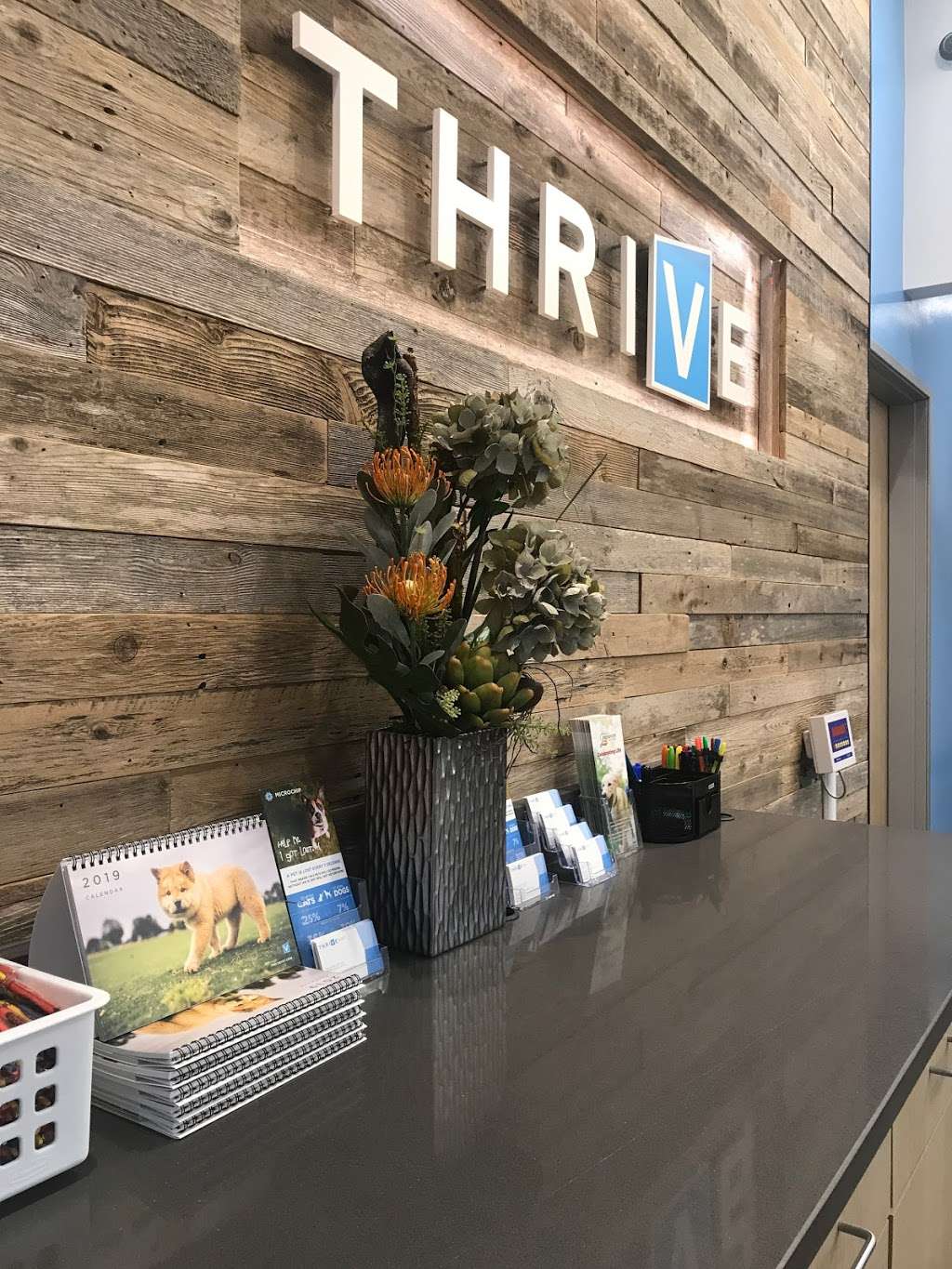 THRIVE Affordable Vet Care | 7790 Charlotte Hwy, Fort Mill, SC 29707, USA | Phone: (803) 650-3366