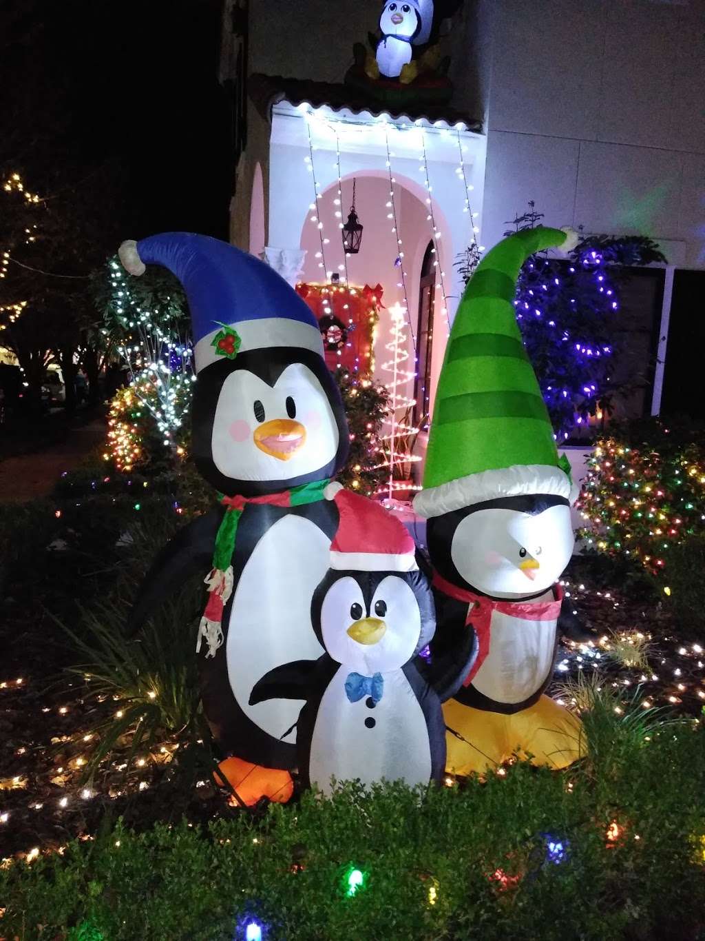 Celebration lights show | 1014 Jeater Bend Dr, Kissimmee, FL 34747, USA