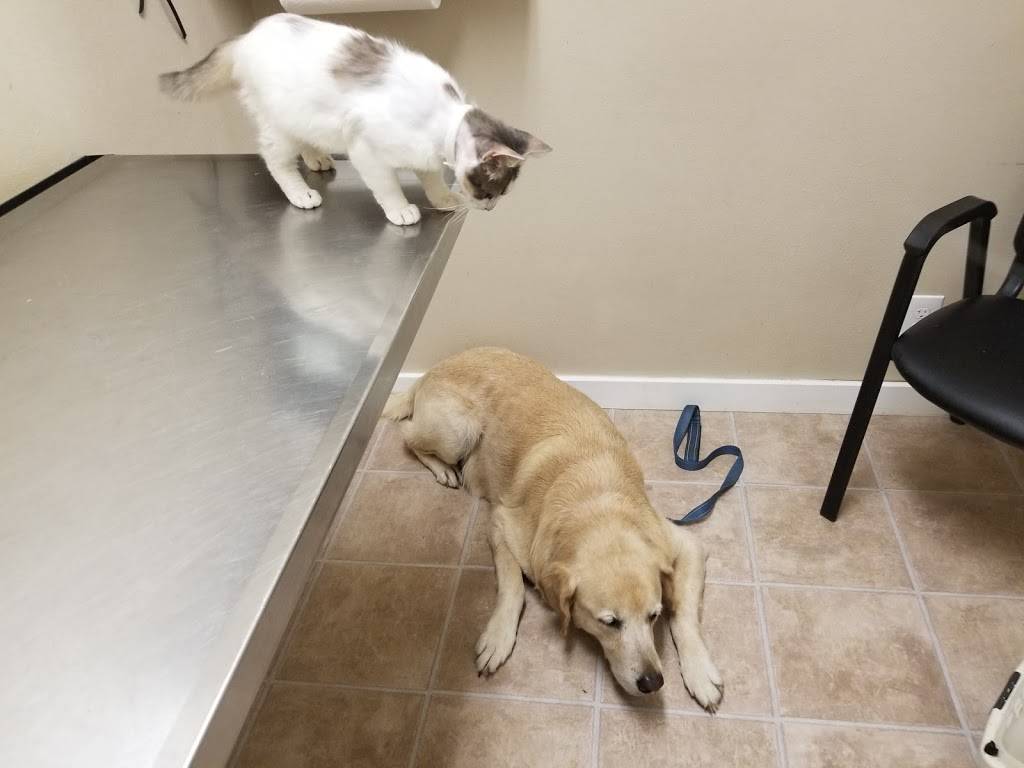 Cross Point Veterinary Clinic, PLLC | 5248 Co Rd 3567, Taft, TX 78390, USA | Phone: (361) 528-5269