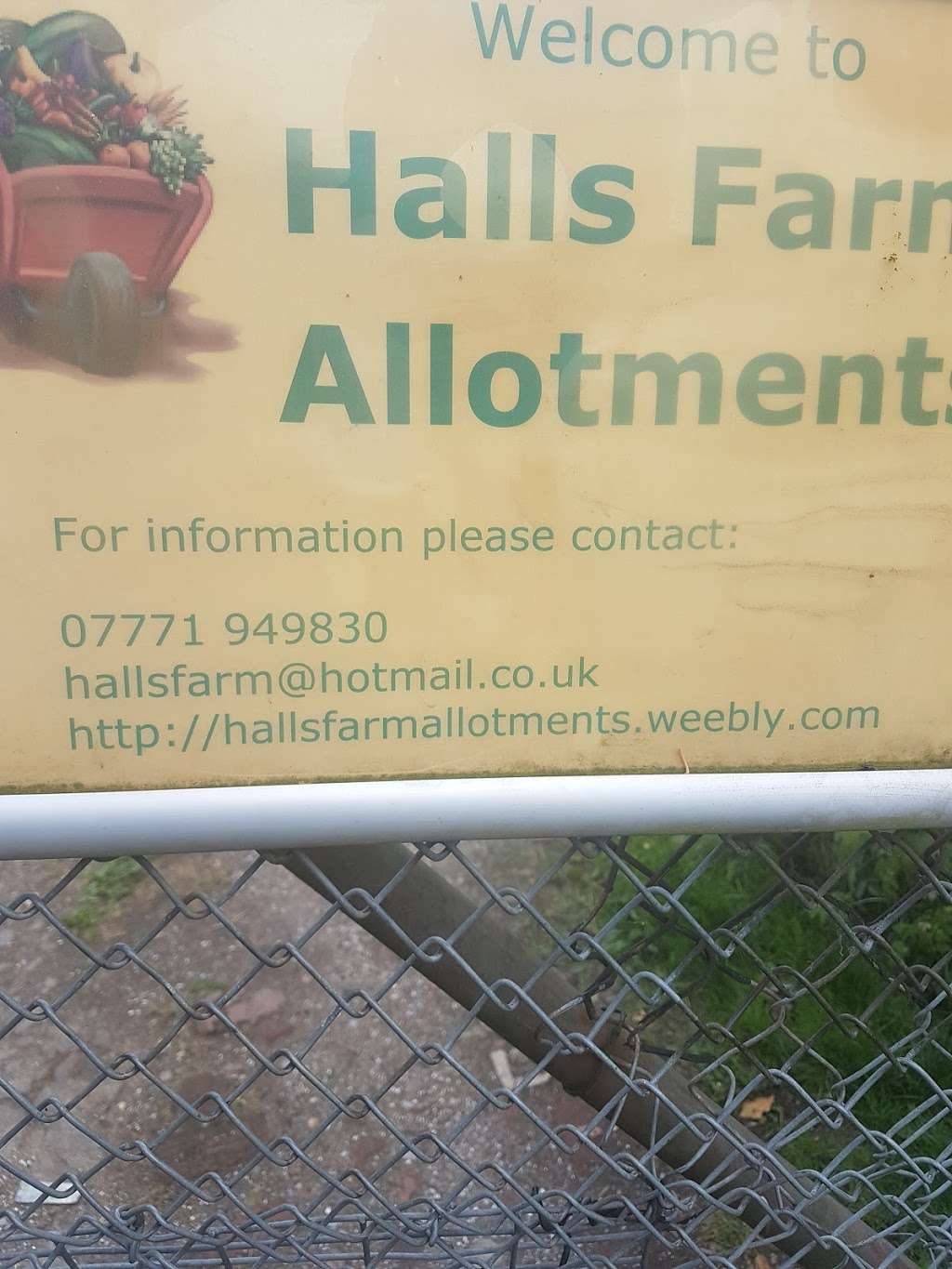 Halls Farm House Nursery | Milk Street, Bromley BR1 5AW, UK | Phone: 0300 303 8658