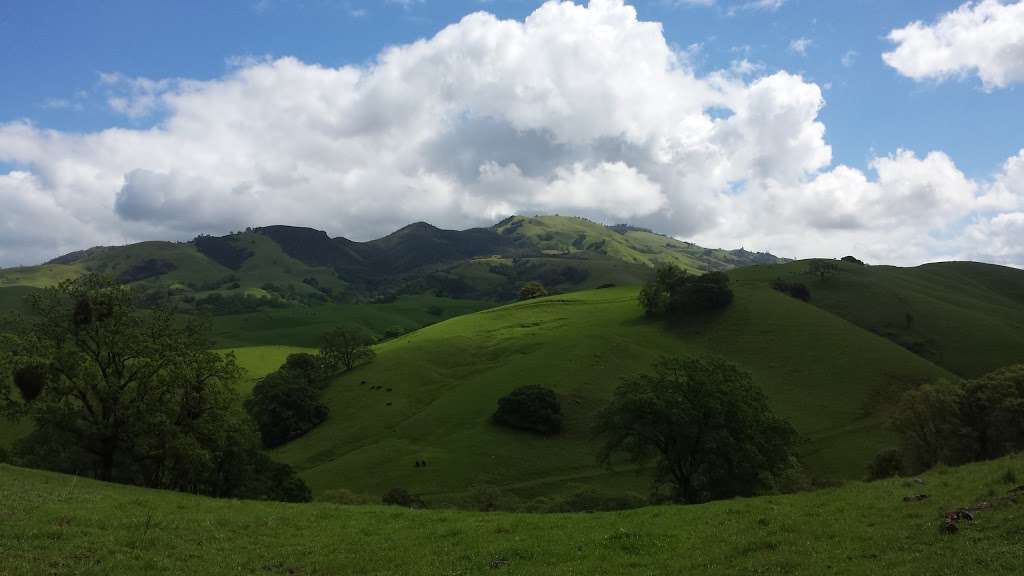 Castle Rock Trail Entrance | 1033 Castle Rock Rd, Walnut Creek, CA 94598, USA