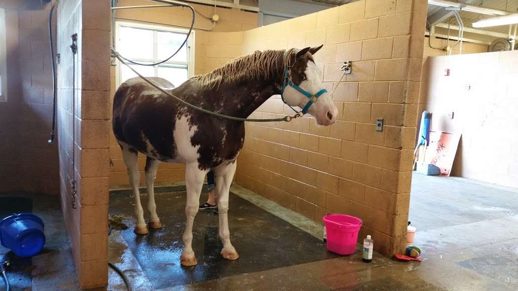 Houston Police Department Mounted Patrol Barn | 5005 Little York Rd, Houston, TX 77016 | Phone: (832) 394-0399