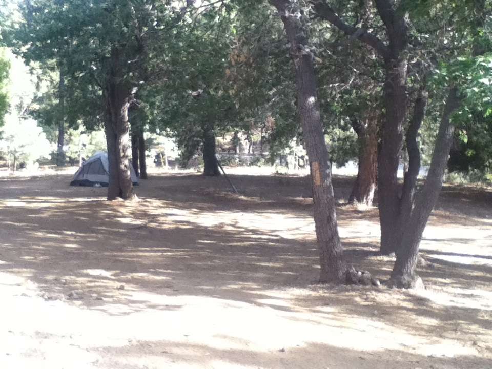 Mountain Oak Campground | 22223 Big Pines Hwy, Valyermo, CA 93563, USA | Phone: (760) 249-3526