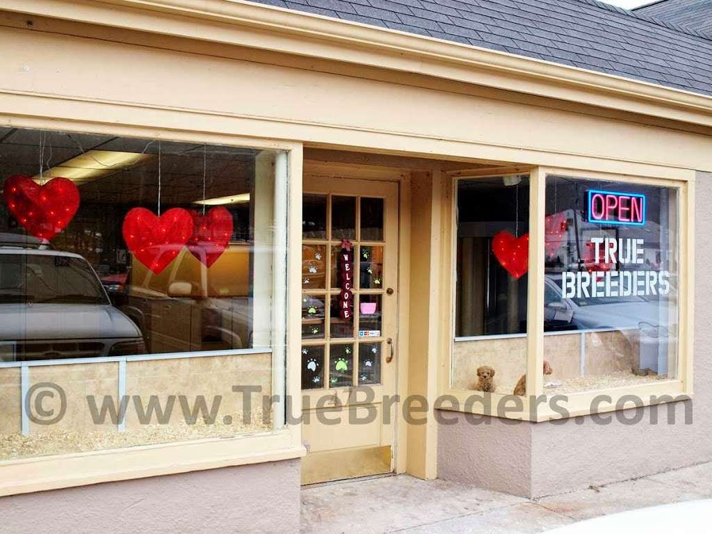 True Breeders | 47 Ethan Allen Hwy, Ridgefield, CT 06776, USA | Phone: (860) 497-5179