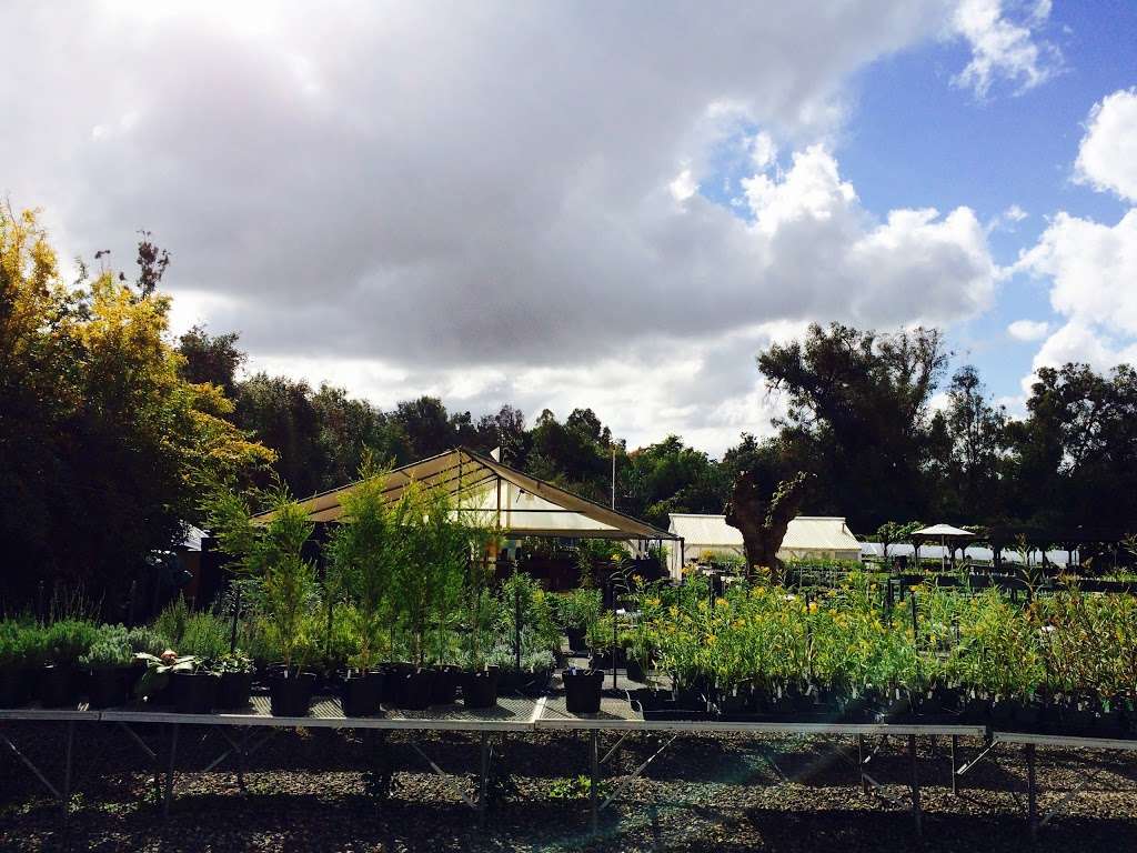 Pearsons Gardens & Herb Farm | 1150 Beverly Dr, Vista, CA 92084, USA | Phone: (760) 726-0717