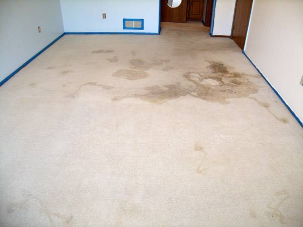 Carpet Cleaning Mckinney TX | 1911 Lands End Dr, Allen, TX 75013, USA | Phone: (469) 702-1202