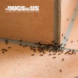 Its Bugs Or Us - San Antonio | 1014 Peabody Ave, San Antonio, TX 78211, USA | Phone: (210) 664-1847