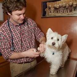 Deer Creek Animal Hospital | 6788 W 135th St, Overland Park, KS 66223, USA | Phone: (913) 851-3700