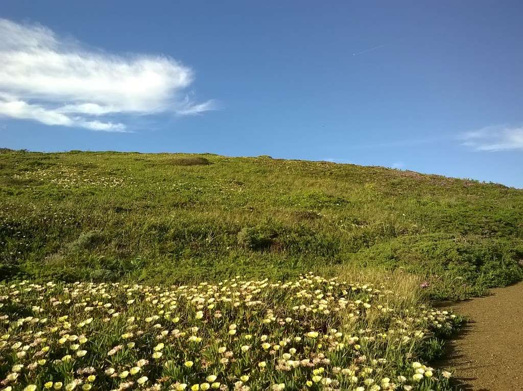 Ballou Point Trailhead | W Ridgecrest Blvd, Stinson Beach, CA 94970, USA