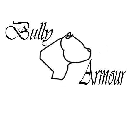 Bully Armour | 6667 Ash Lynn Way, San Bernardino, CA 92407 | Phone: (909) 913-3162