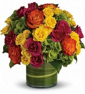 American Bella Flowers | 11314 Huffmeister Rd, Houston, TX 77065, USA | Phone: (281) 890-9931